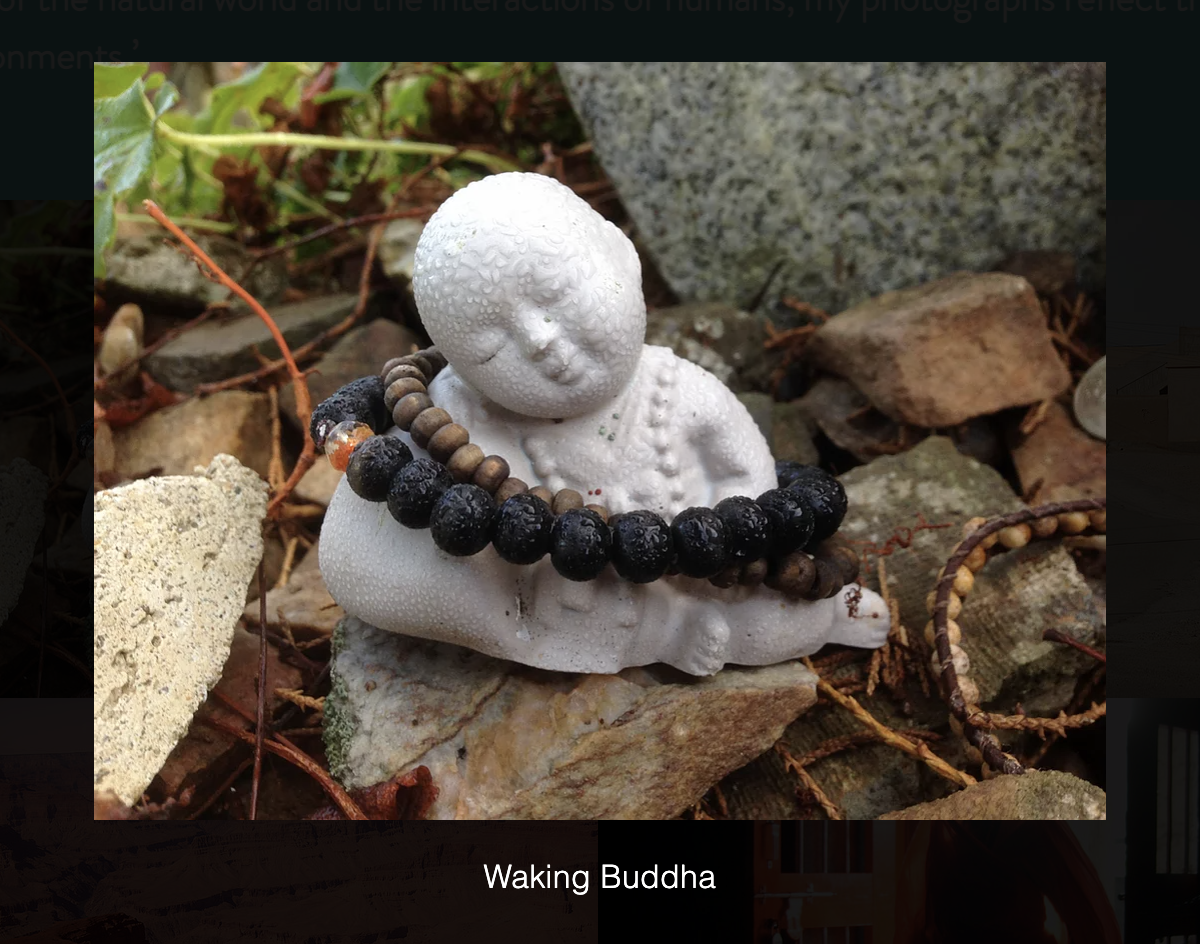 Waking Budha 2021 05 11 At 17.06.22