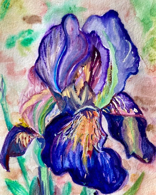 Iris Panni Loh